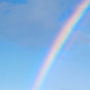 Meet your Posher, Janell